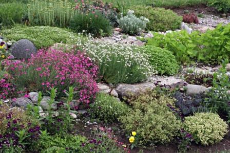 Landscape Planning - Rock Garden Tips